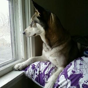 Meet your Posher, Linda